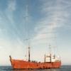 Thumper Net