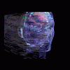 dreamvidz
