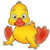 edweder