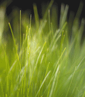 post-53-1130052067_thumb.gif