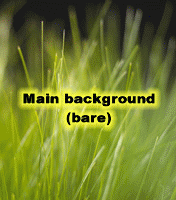 post-53-1130052129_thumb.gif